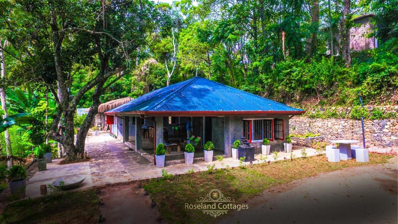 Roseland Cottages Bandarawela Dış mekan fotoğraf